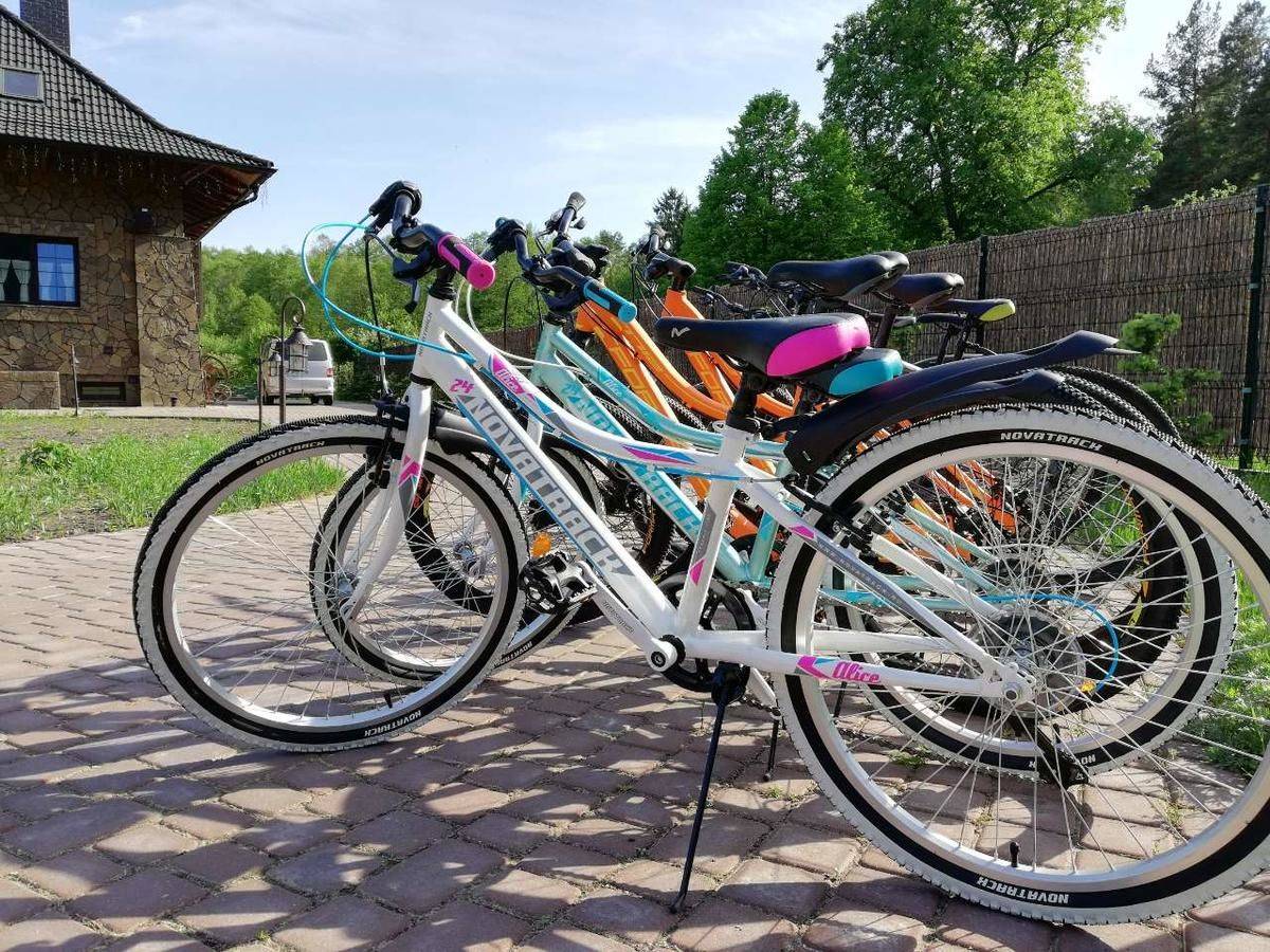 Велопрокат мещерский парк. Велобайк московский велопрокат. Прокат велосипедов сноубордов. Альтернативный велосипед. Велопрокат.